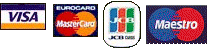 Visa, Mastercard, Delta, Switch, Solo, JCB, Maestro
