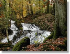 The falls