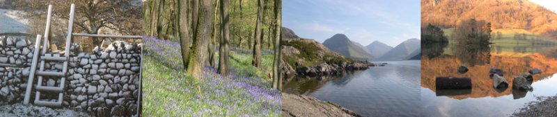 Ivy Bank Bed and Breakfast in Cumbria UK